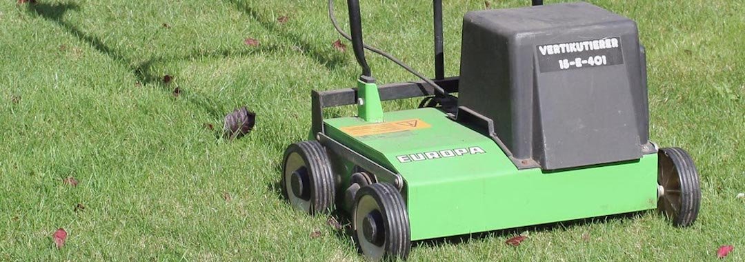lawn scarifier lawn