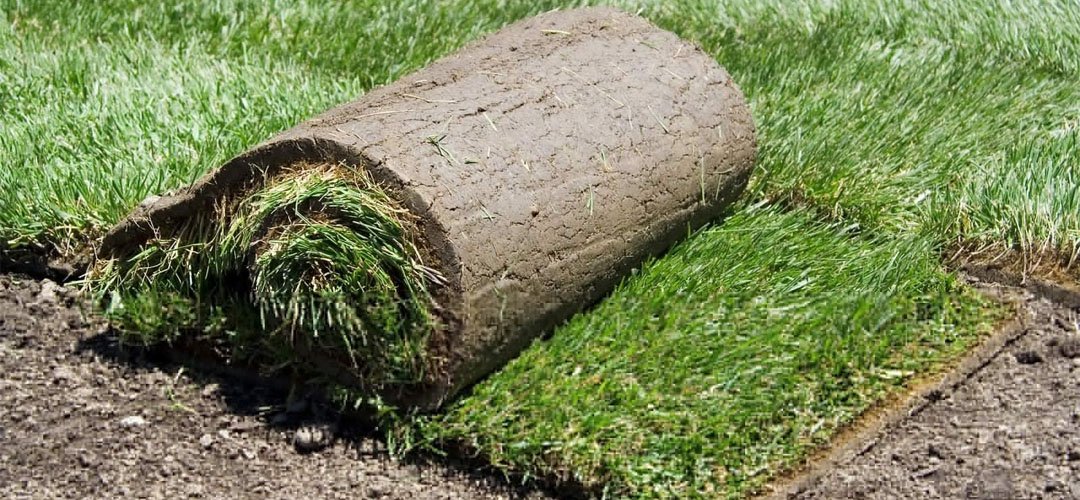 Best Artificial Grass Products Banner Image