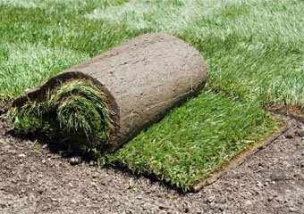 10 Artificial Grass Products in 2026