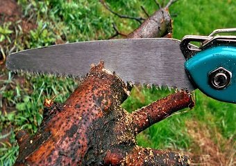 10 Best Pruning Saws in 2026