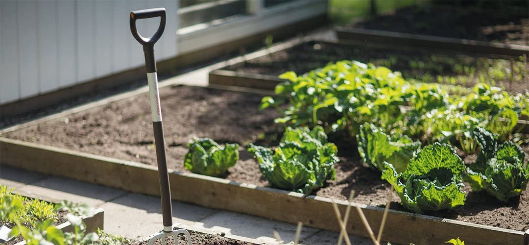 Best Garden Forks Banner Image