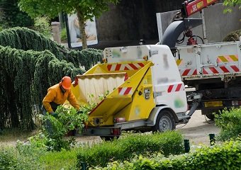 10 Best Garden Shredders in 2026
