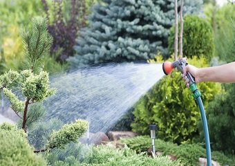 10 Best Garden Hoses in 2026