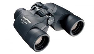 Olympus DPSI Binocular