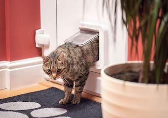 10 Best Microchip Cat Flaps in 2026