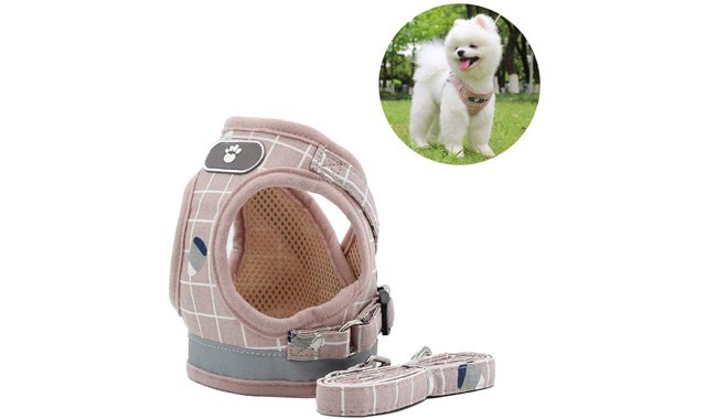 Anlitent Soft Mesh Harness