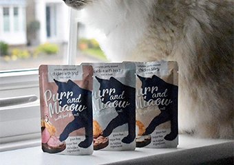 10 Best Cat Foods in 2026