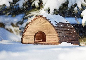10 Best Hedgehog Houses in 2026