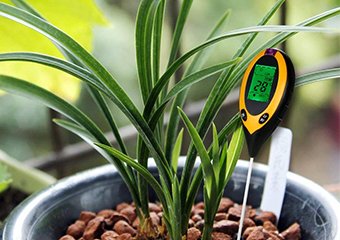 10 Best Soil Testing Kits in 2026