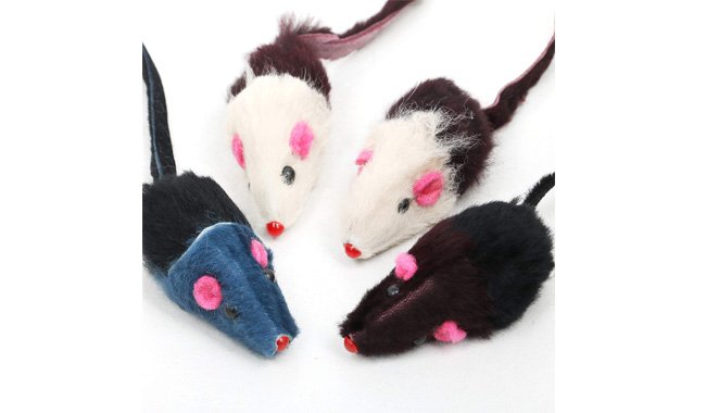 Digiflex Rattling Catnip Toys For Cats And Kittens