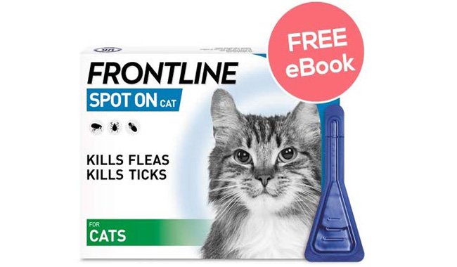 Frontline Spot On For Cats - 6 Pipettes
