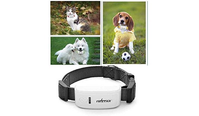 Hangang GPS Tracker for Medium Dogs and Cats