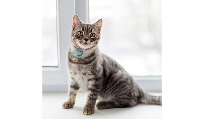 Loc8tor Pet - Ultimate Wireless Pet Locator