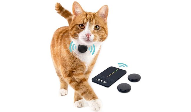 Loc8tor Tabcat Pet Tracking Device