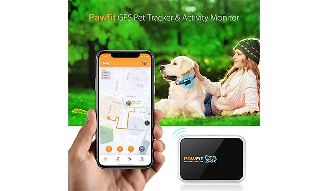Pawfit GPS Pet Tracker