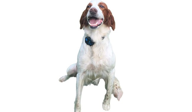 PetTrackie Waterproof GPS Pet Tracker
