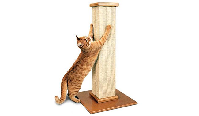 Smart Cat The Ultimate Scratching Post