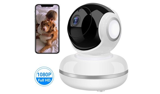 Wi-Fi IP Camera Motion Activated for Pet