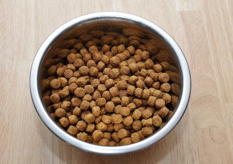 10 Best Dry Dog Foods in 2026