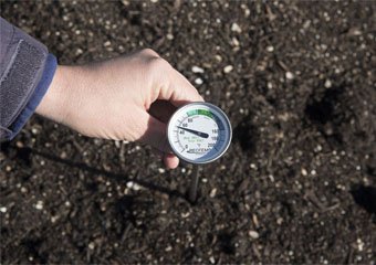 10 Best Compost Thermometers in 2026
