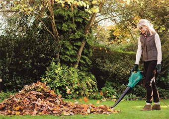 8 Best Garden Vacuums in 2026