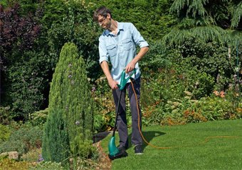 10 Best Grass Strimmers in 2026