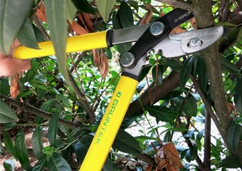 10 Best Tree Loppers in 2026