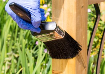 10 Best Wood Preservers in 2026