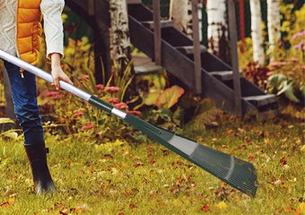 5 Best Leaf Rakes in 2026