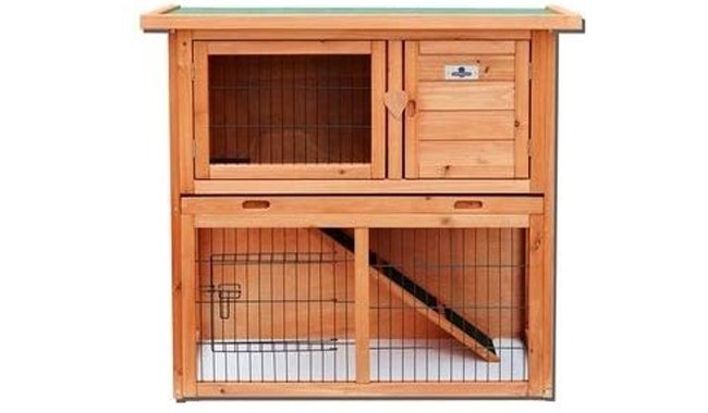 Confidence Rabbit Hutch