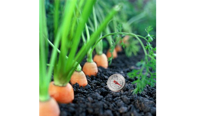 Dracarys Stainless Steel Soil Thermometer