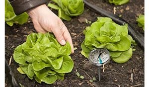 SmartChoice Premium Stainless Steel Soil Thermometer