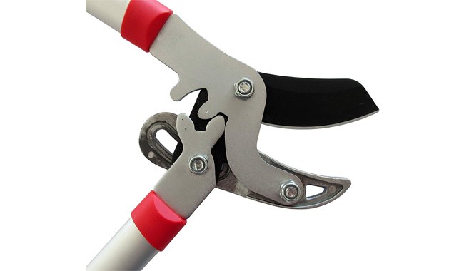 TABOR TOOLS Tree Lopper