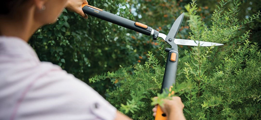Best Garden Shears Banner Image