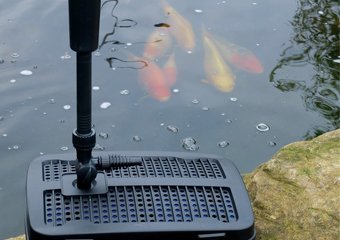 8 Best Pond Pumps in 2026