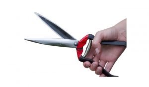 Jakoti Hand Shear