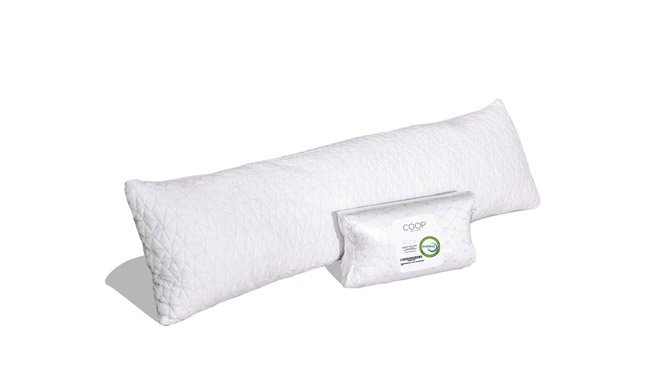 Coop Home Goods body pillow Coop Home Goods body pillow