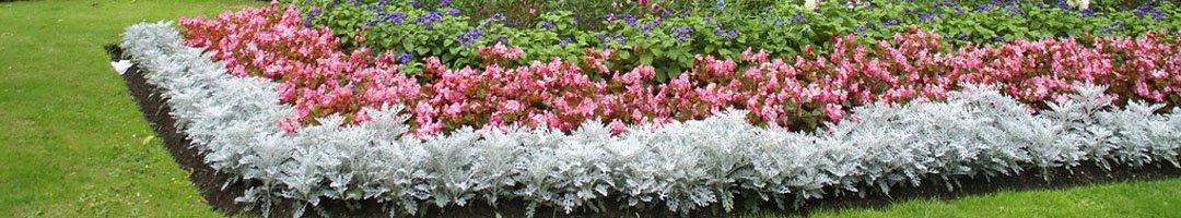 5 Best Garden Services in Worthing Banner Image