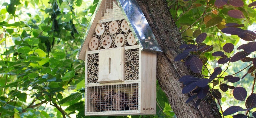 Best Bug Hotel UK Banner Image