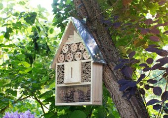 10 Best Bug Hotels in 2026