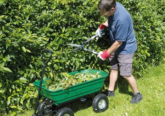 10 Best Garden Trolleys in 2026