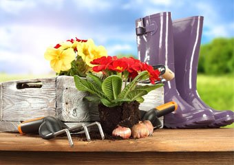 Top 10 Essential Gardening Tools