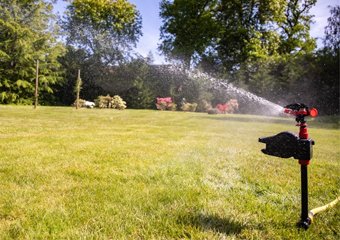 10 Best Cat Repellants & Deterrents in 2026