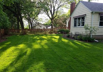 How to Make Grass Greener