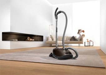 How to Clean a Carpet