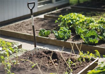 10 Best Garden Forks in 2026