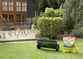 10 Best Moss Killers in 2026