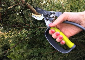 10 Best Secateurs in 2026