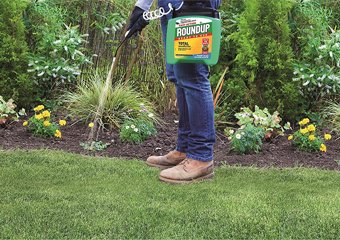 10 Best Weed Killers in 2026
