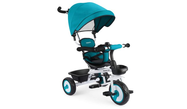 Fascol 4-in-1 Toddler Trike